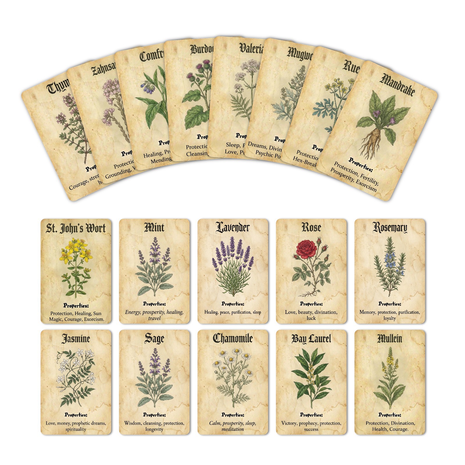 Vintage Magic Plant Theme Know - Vintage Collectible Cards avaliação e preço