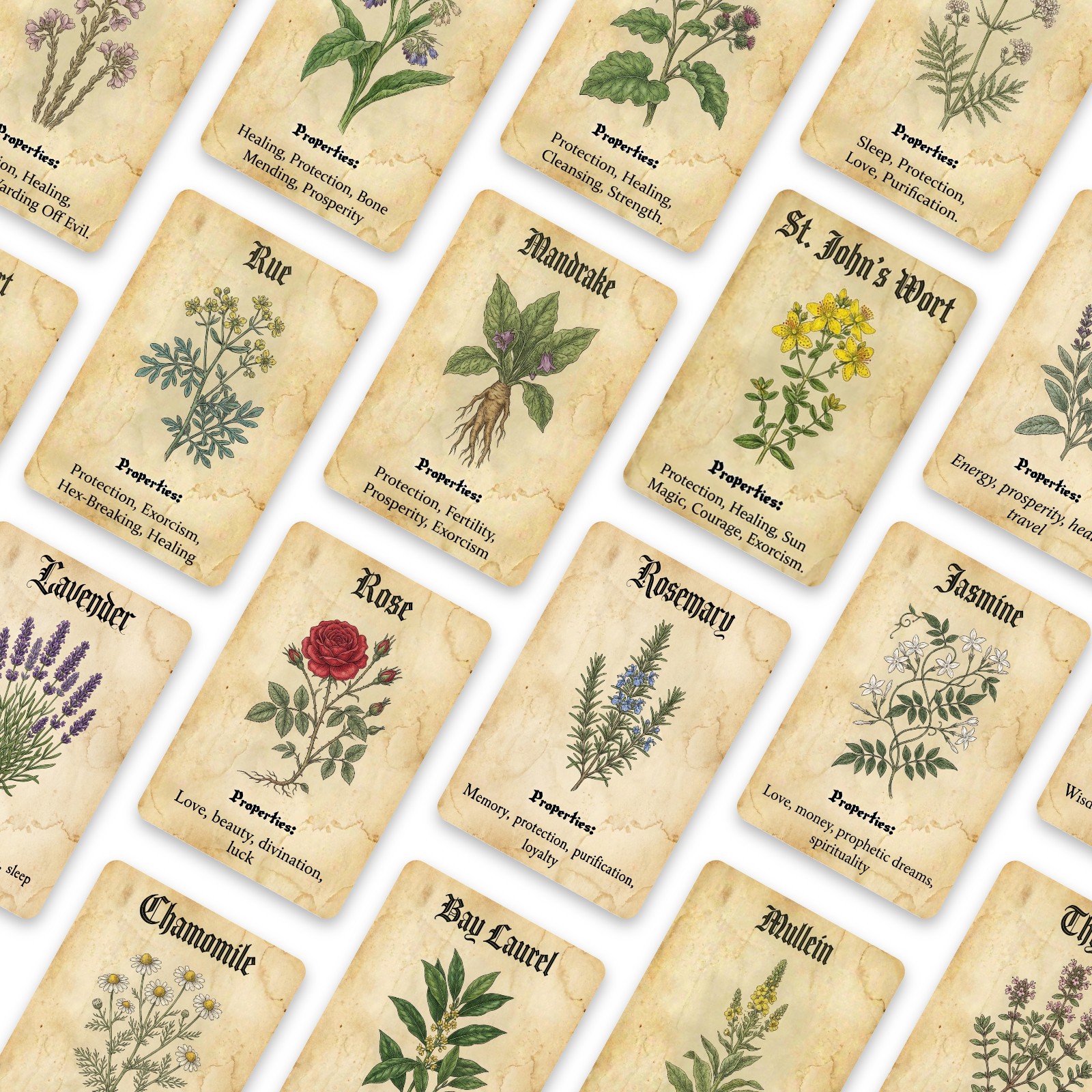 Vintage Magic Plant Theme Know - Vintage Collectible Cards avaliação e preço